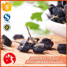 Высококачественная высококачественная высококачественная черная ягода goji